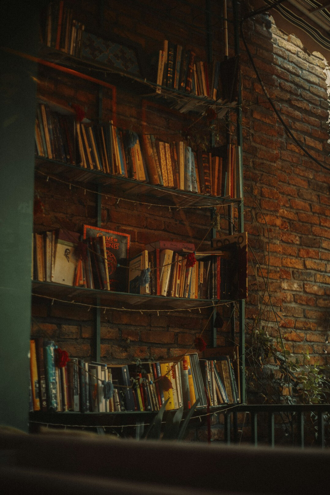 Rows of old books on a shelf